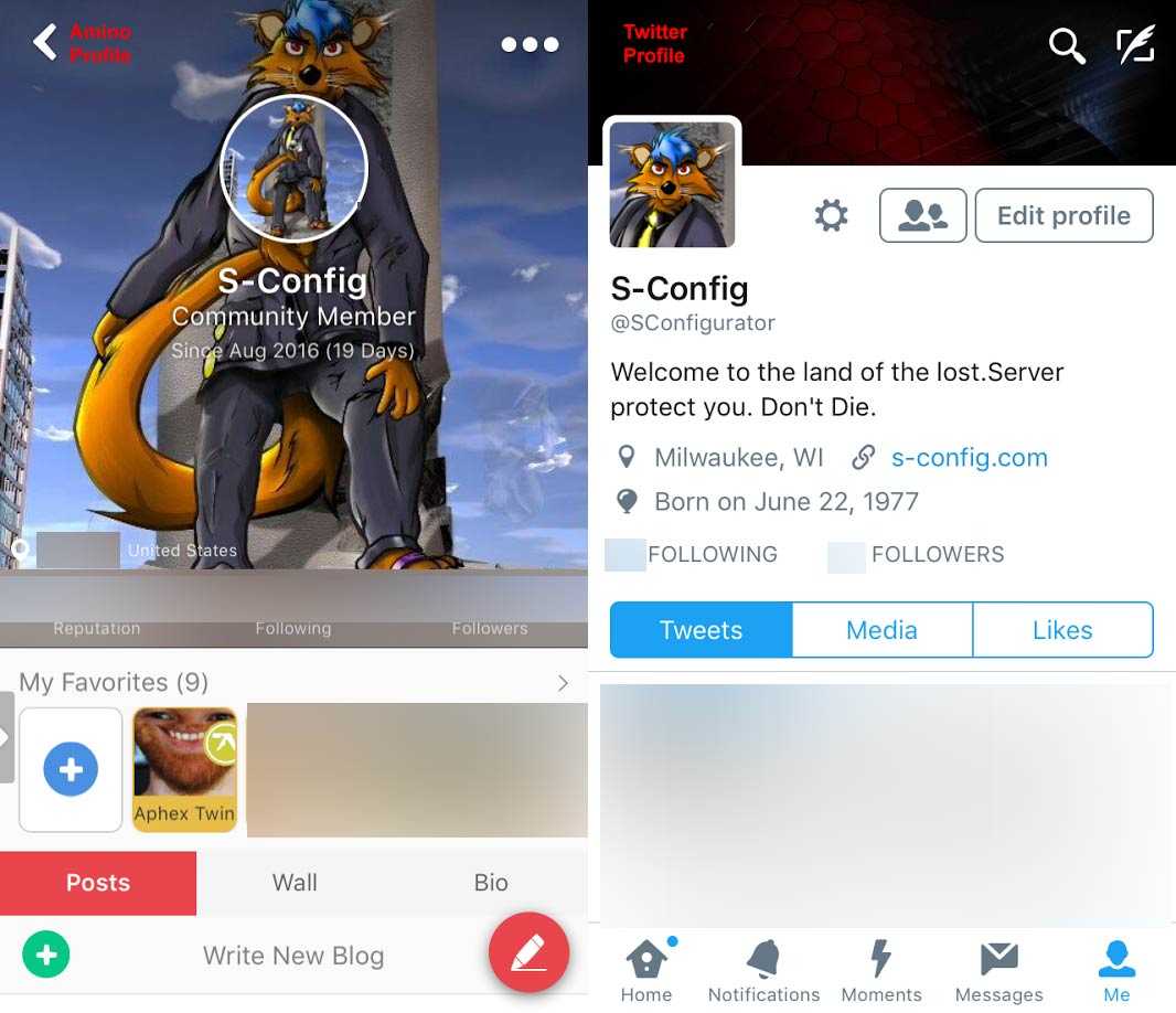 Profile Comparison between Furry Amino and Twitter.